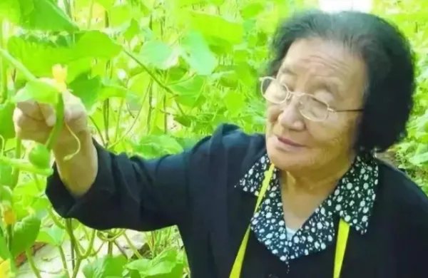 被称为甜瓜大王的是哪一位院士?她为什么会被称为“甜瓜大王”呢?