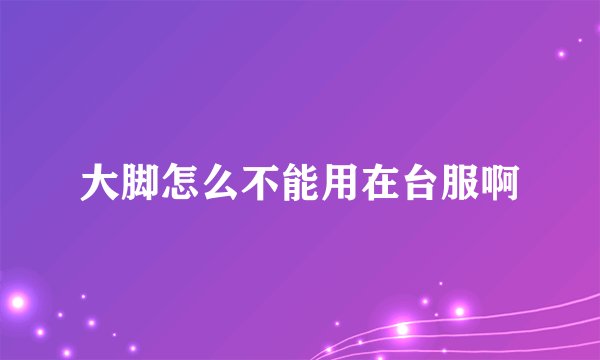 大脚怎么不能用在台服啊