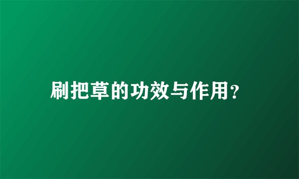 刷把草的功效与作用？