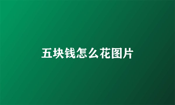 五块钱怎么花图片