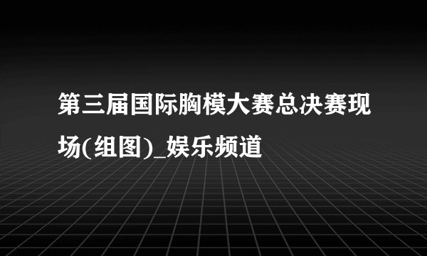 第三届国际胸模大赛总决赛现场(组图)_娱乐频道