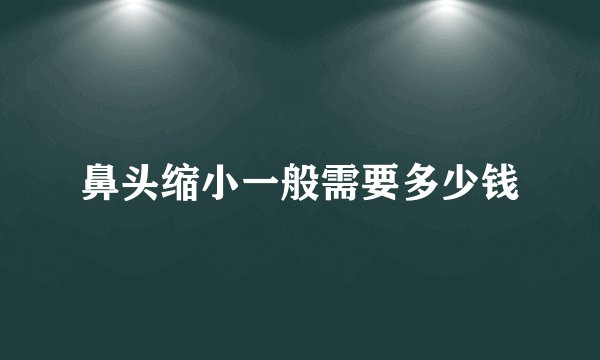 鼻头缩小一般需要多少钱