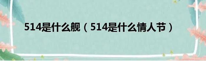 514是什么舰（514是什么情人节）