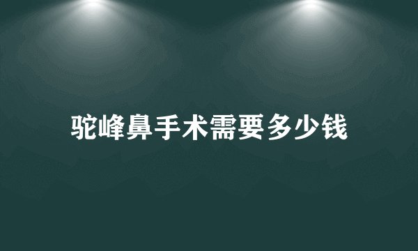 驼峰鼻手术需要多少钱