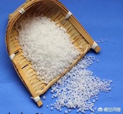 什么是中量元素水溶肥?有哪些作用?