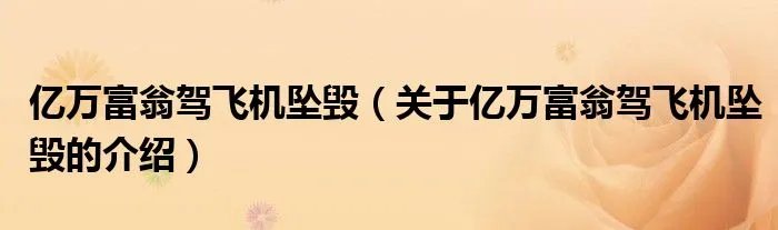 亿万富翁驾飞机坠毁（关于亿万富翁驾飞机坠毁的介绍）