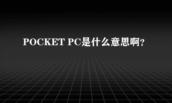 POCKET PC是什么意思啊？
