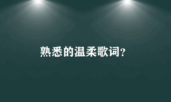 熟悉的温柔歌词？
