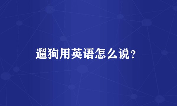 遛狗用英语怎么说？