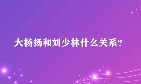 大杨扬和刘少林什么关系？