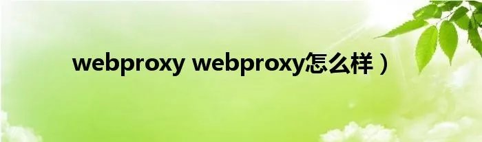 webproxy webproxy怎么样）