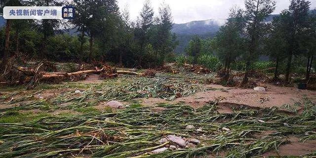 四川冕宁特大暴雨灾害,造成多少损失?