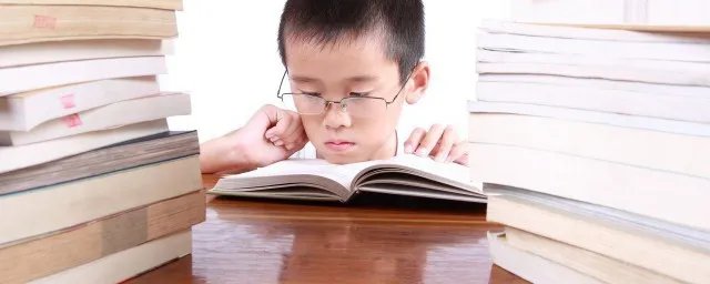 大纲是什么