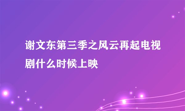 谢文东第三季之风云再起电视剧什么时候上映