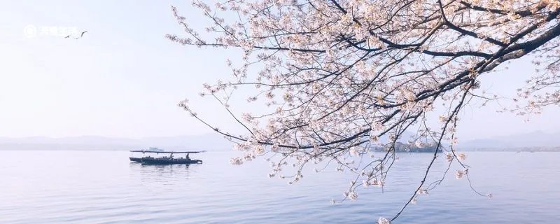水光潋滟晴方好山色空蒙雨亦奇指的是何处名胜