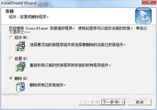 scenic player打不开文件怎么办