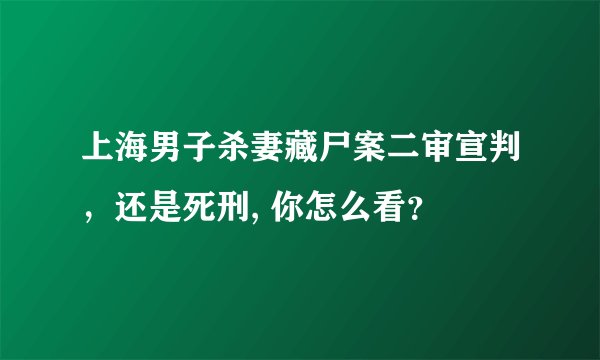 上海男子杀妻藏尸案二审宣判，还是死刑, 你怎么看？