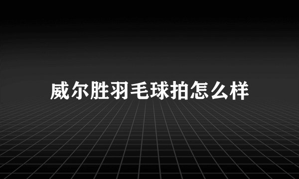 威尔胜羽毛球拍怎么样