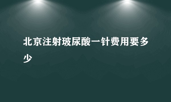 北京注射玻尿酸一针费用要多少