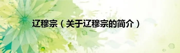 辽穆宗（关于辽穆宗的简介）