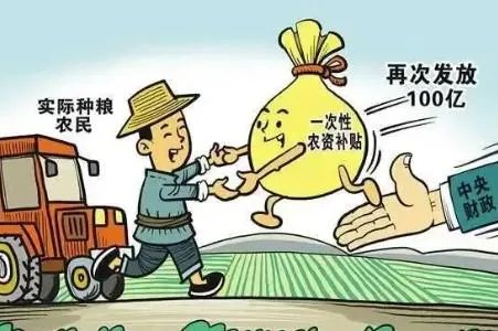 中央向实际种粮农民发100亿元补贴，其他国家也有类似政策吗？