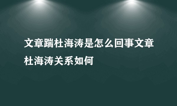 文章踹杜海涛是怎么回事文章杜海涛关系如何