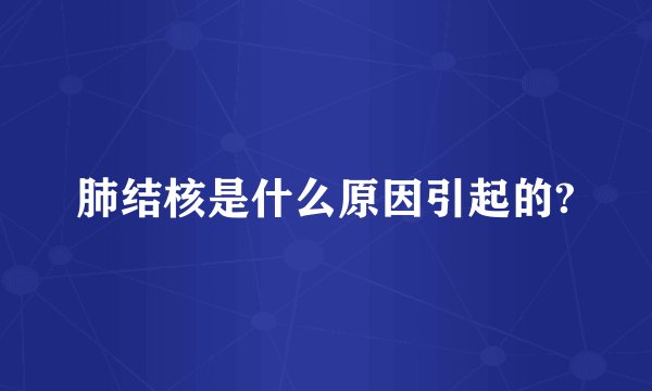 肺结核是什么原因引起的?