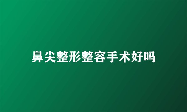 鼻尖整形整容手术好吗