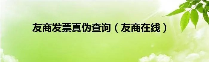 友商发票真伪查询（友商在线）