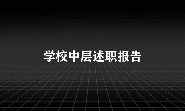 学校中层述职报告