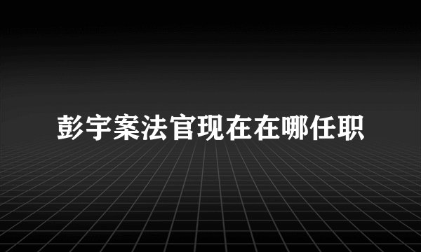 彭宇案法官现在在哪任职