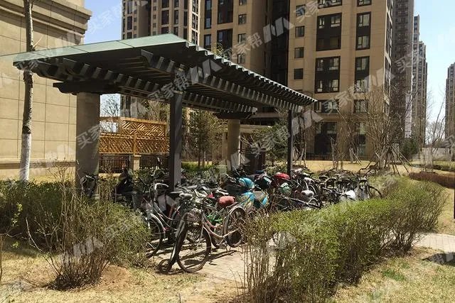金地物业