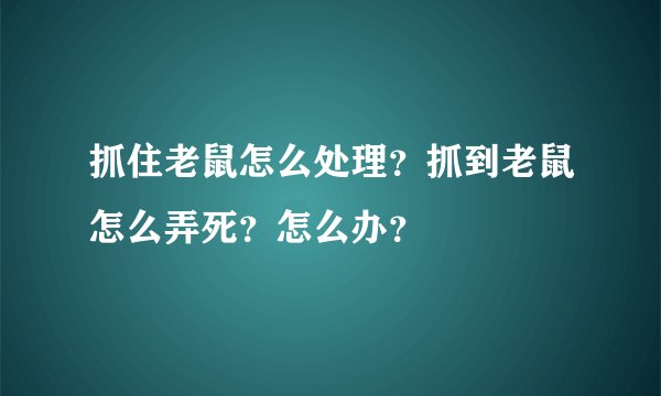 抓住老鼠怎么处理？抓到老鼠怎么弄死？怎么办？