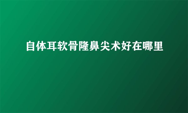 自体耳软骨隆鼻尖术好在哪里