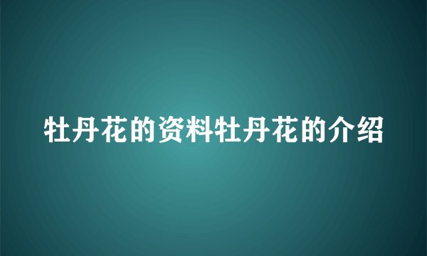 牡丹花的资料牡丹花的介绍