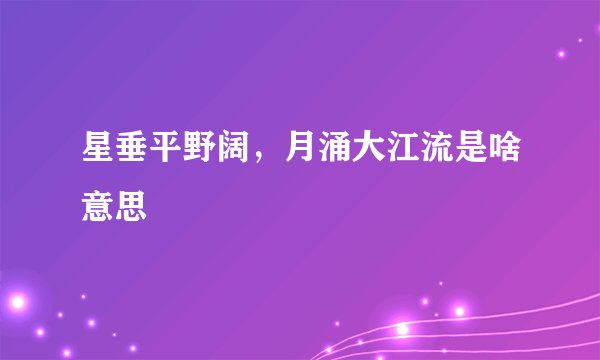 星垂平野阔，月涌大江流是啥意思