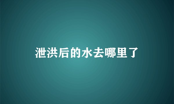 泄洪后的水去哪里了