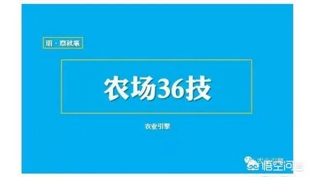 农村种植什么最合适?
