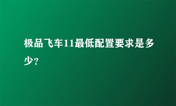 极品飞车11最低配置要求是多少？