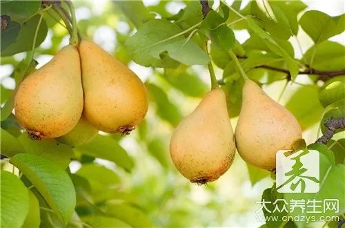 槐花蜜孕妇能喝吗?