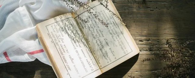 映日荷花别样红的上一句的前一句是什么