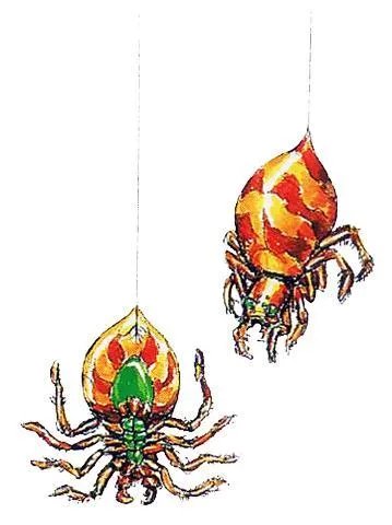龙王战士攻略(通关方法和装备推荐)