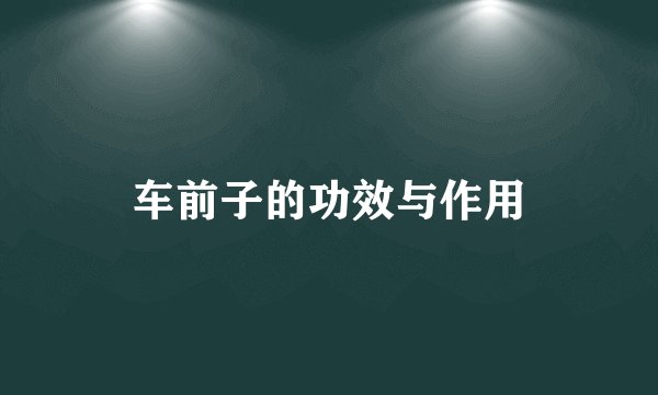车前子的功效与作用