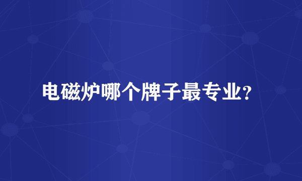 电磁炉哪个牌子最专业？