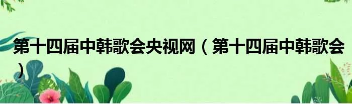 第十四届中韩歌会央视网（第十四届中韩歌会）