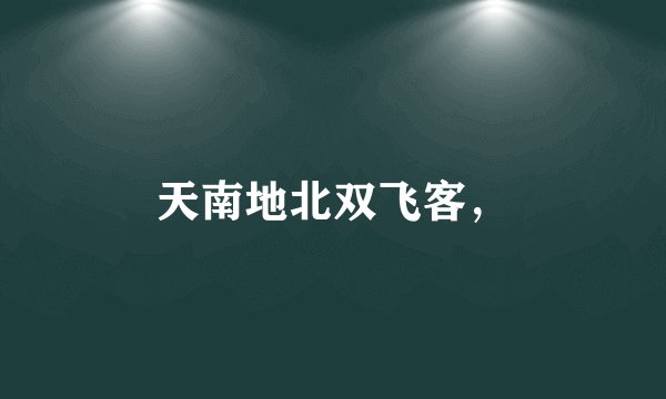 天南地北双飞客,