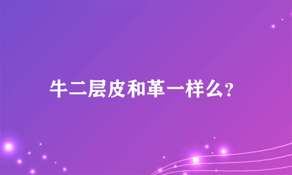 牛二层皮和革一样么？
