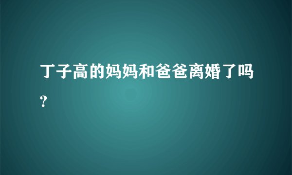 丁子高的妈妈和爸爸离婚了吗？
