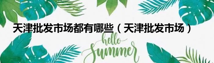 天津批发市场都有哪些（天津批发市场）
