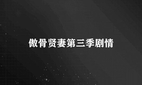 傲骨贤妻第三季剧情